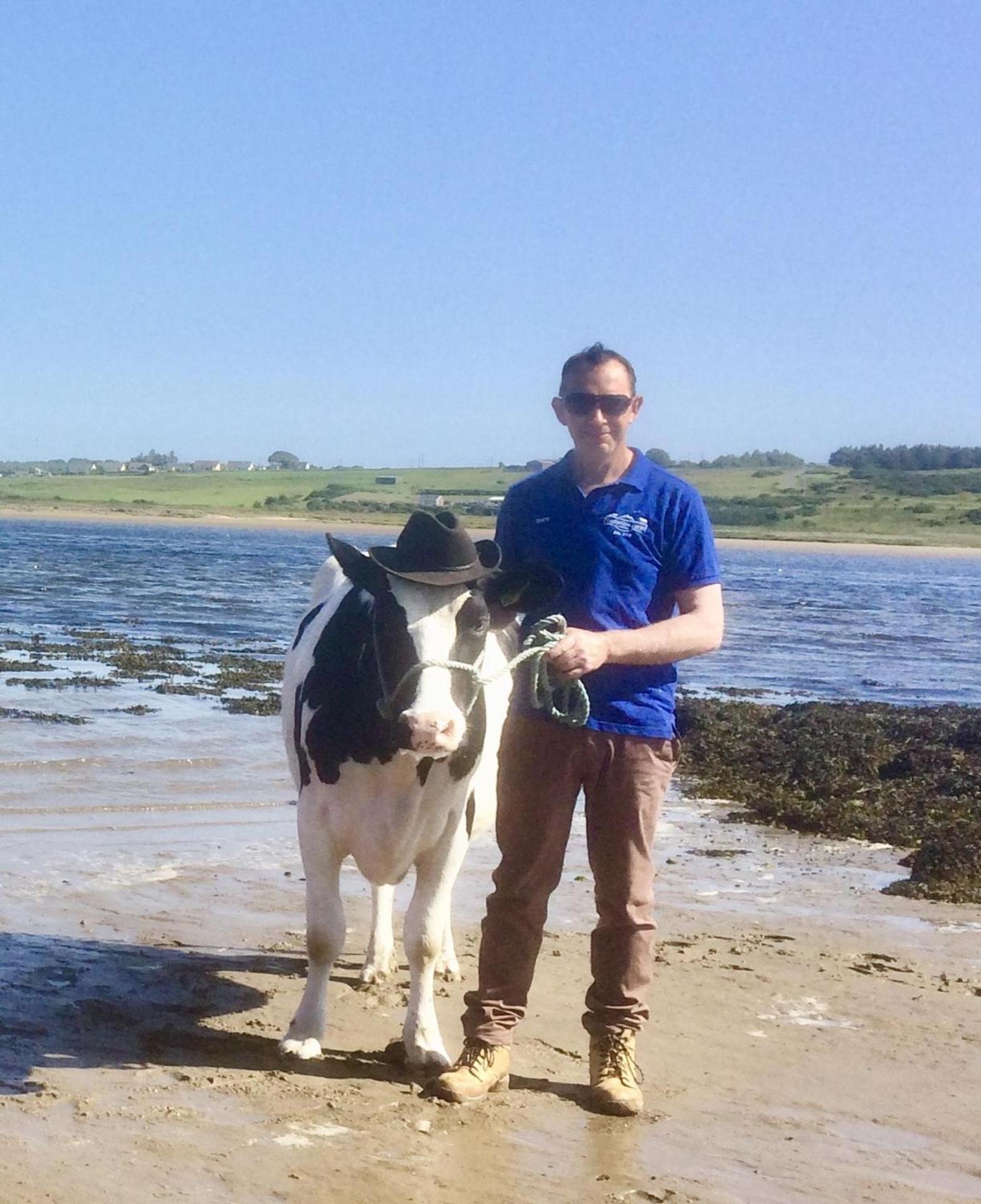 The Cuddly Cow Cosy Barn Farm Casa vacanze Dunmuckrum